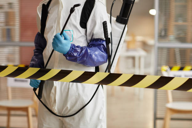 Professional Sewage Cleanup technician working in Memphis, FL